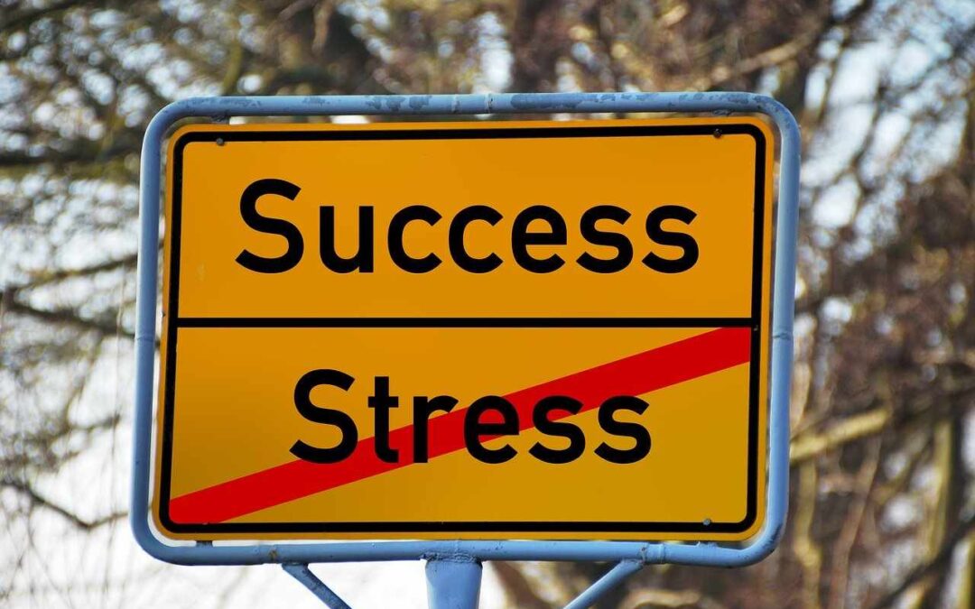 Combattere lo stress per avere successo
